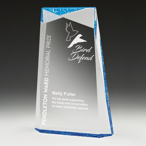 Blue Award