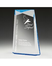 Blue Award