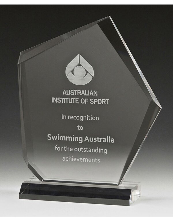 Acrylic Peak Award