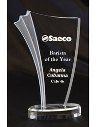 Clear Acrylic  Award
