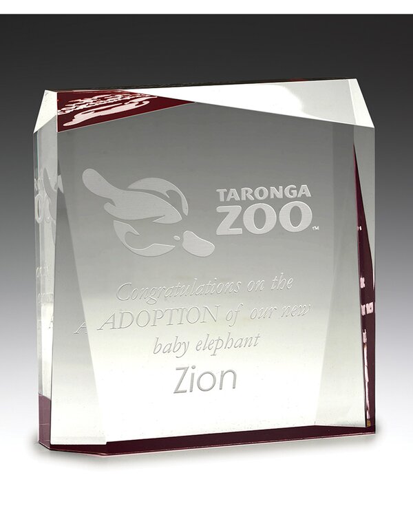 Red Prism Acrylic Award
