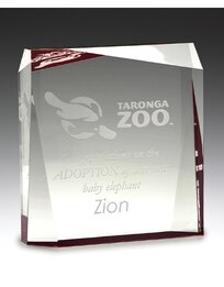 Red Prism Acrylic Award