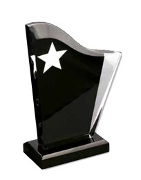 Prestige Star  Award