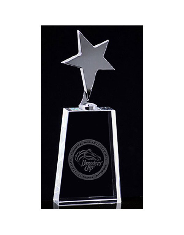 Top Star Award