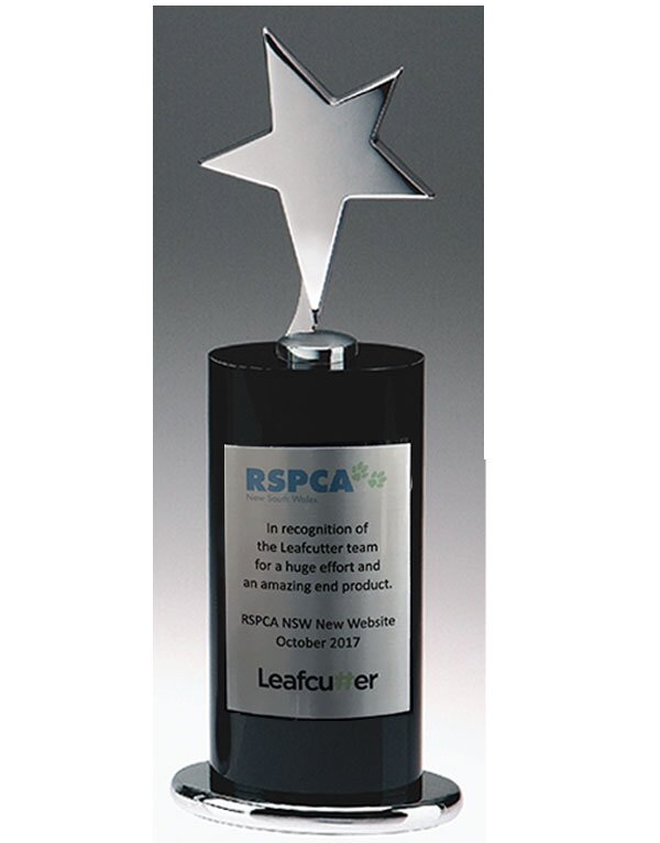 CIP - Star Tower Award