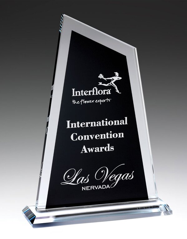 Black Ultra Mountain Glass Award