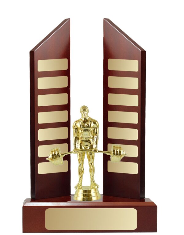 Winged Timber Trophy