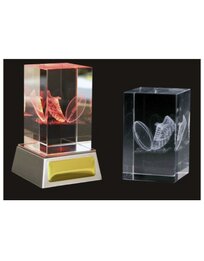 3D Shoe & Ball Cube