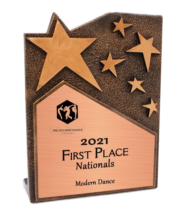 Bronze Star Plaque Award