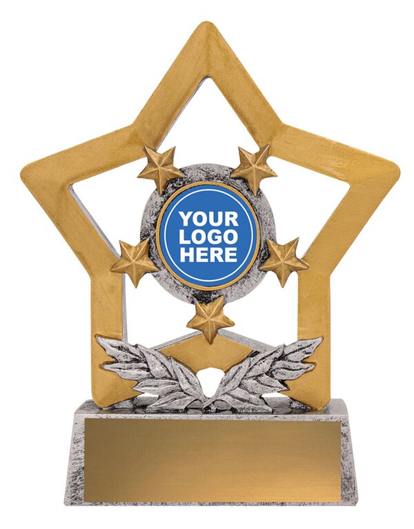 Star Gold & Silver Resin Award