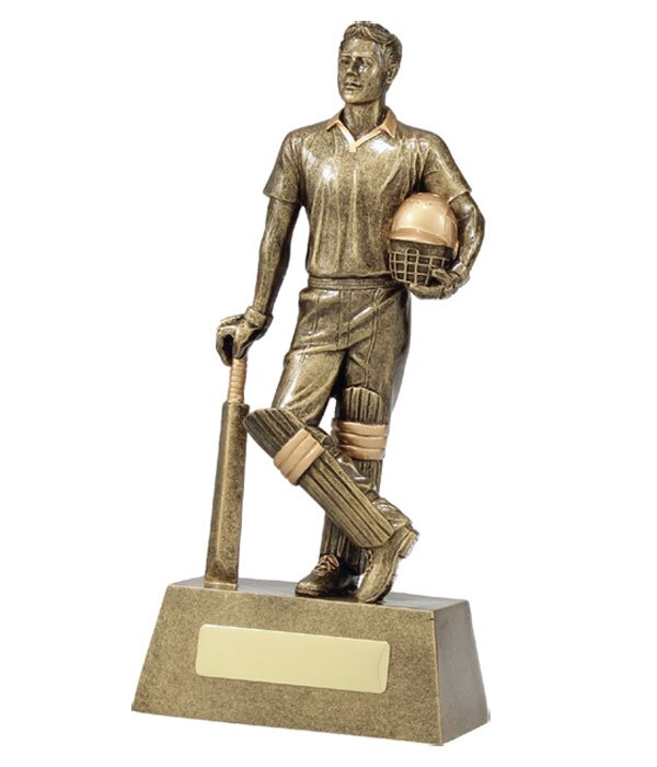 Cricket Batter Hero