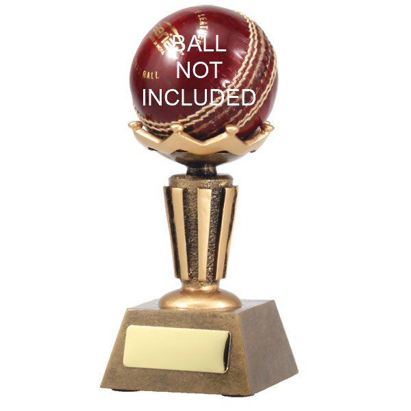 Cricket Ball Holder / Stand
