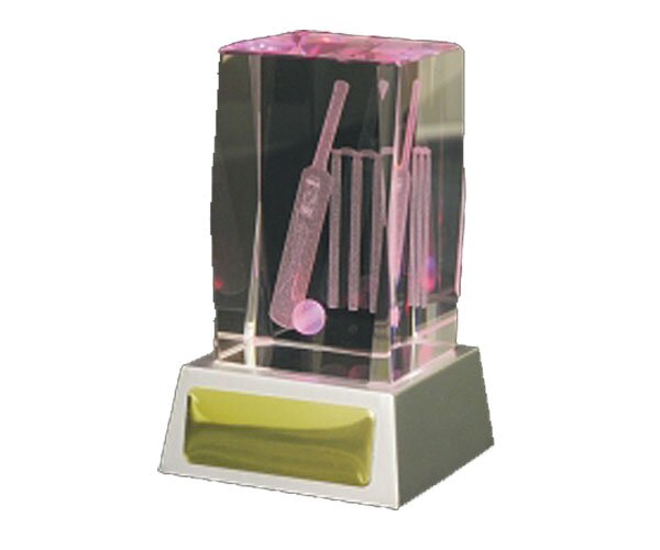 3D Cricket Cube