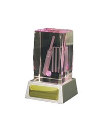 3D Cricket Cube