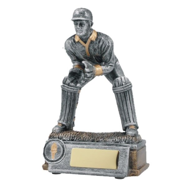Cricket Catcher
