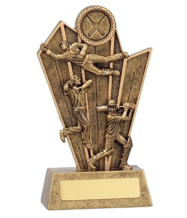Cricket All-Rounder