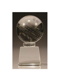 Crystal Cricket Award