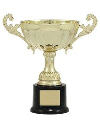 Gold Metal Cup