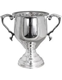 Silver Plated Cup