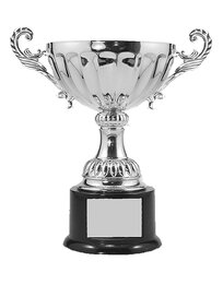 Silver Metal Cup