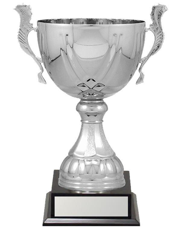 Silver Metal Cups