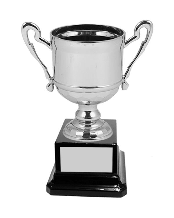 Silver Metal Cups