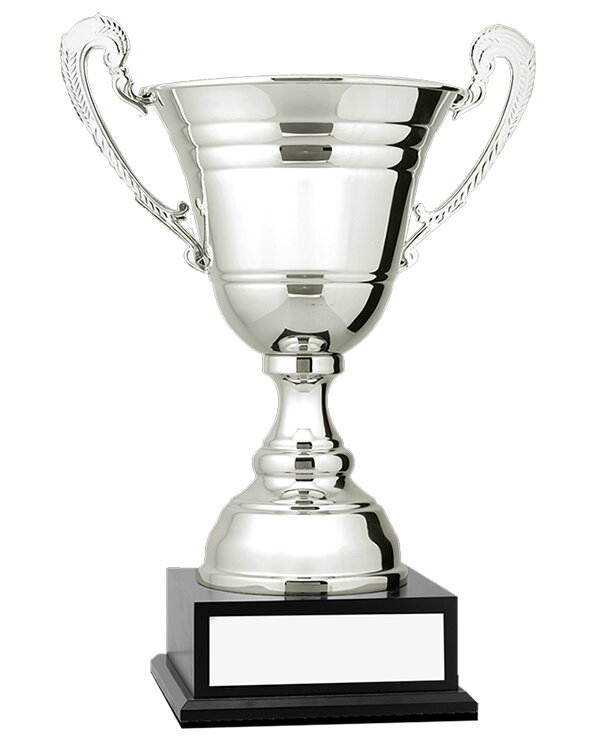 Silver Metal Cups