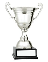Silver Metal Cups