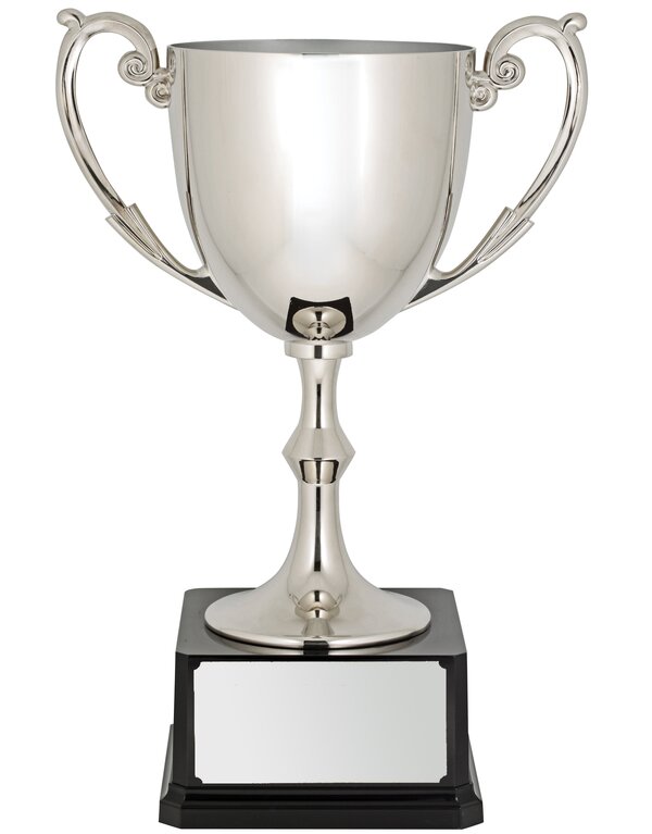Silver Metal Cups