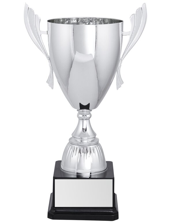 Silver Iron Man Cup