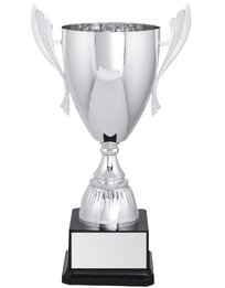 Silver Iron Man Cup