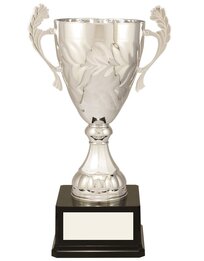 Silver Cup