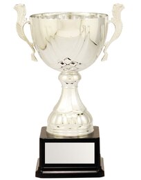 Turin Cup Silver