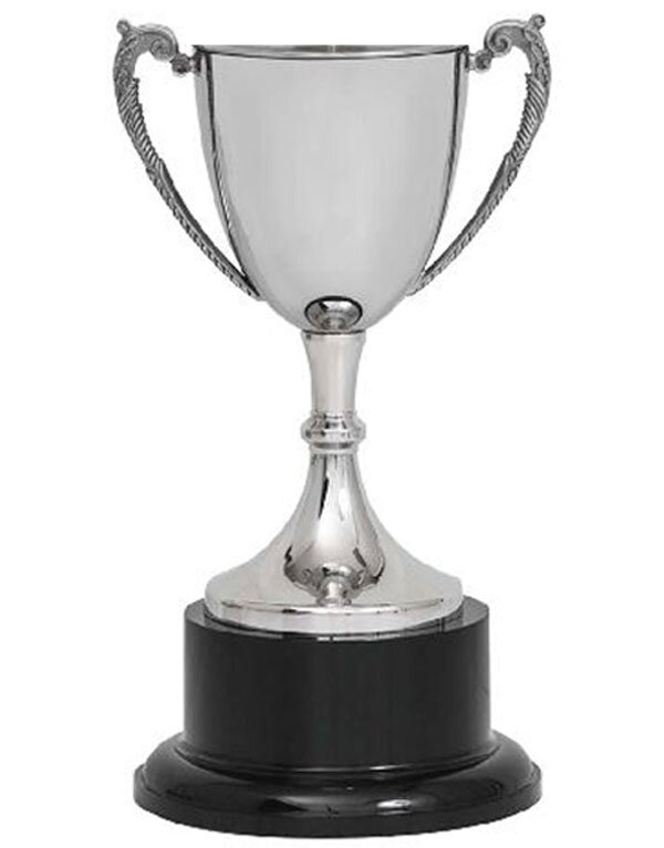Stainless Steel Cup