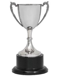 Stainless Steel Cup