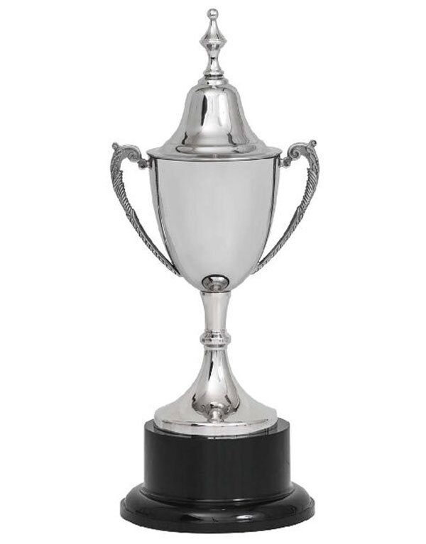Stainless Steel Cup with Lid