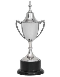 Stainless Steel Cup with Lid