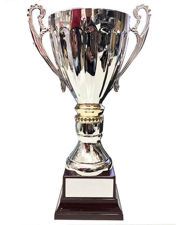 Metal Cup
