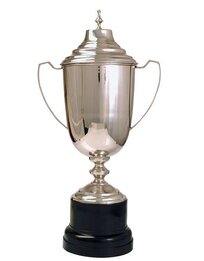 Large Silver Cups