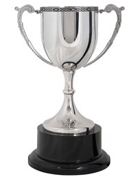 Stainless Steel Trophy Cup