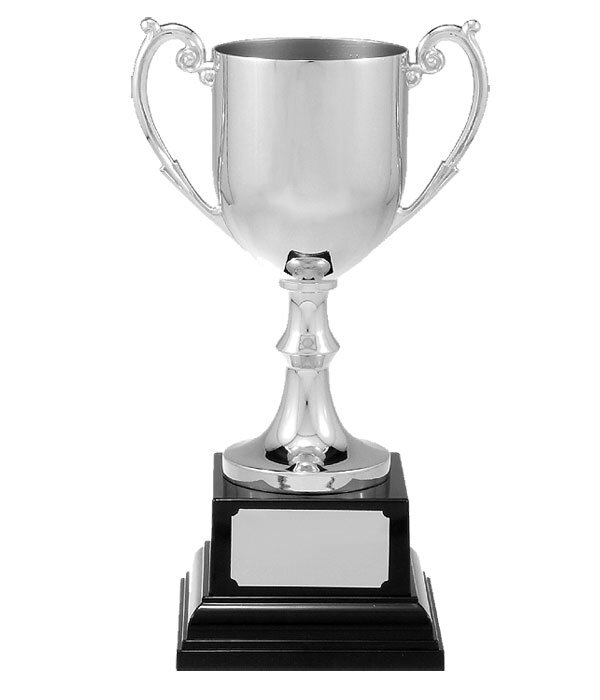 Silver Metal Cups
