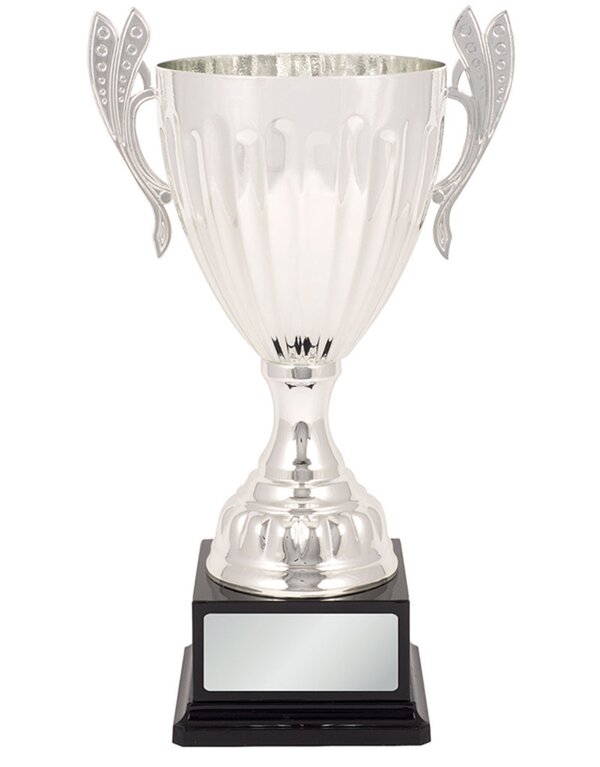 Silver Metal Cups