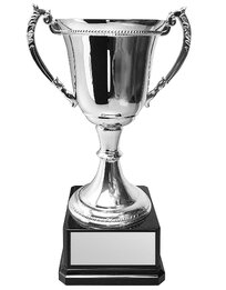 Silver Metal Cups