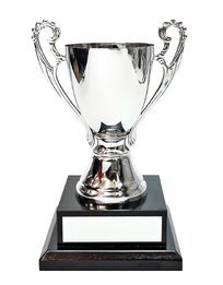 Silver Metal Cup