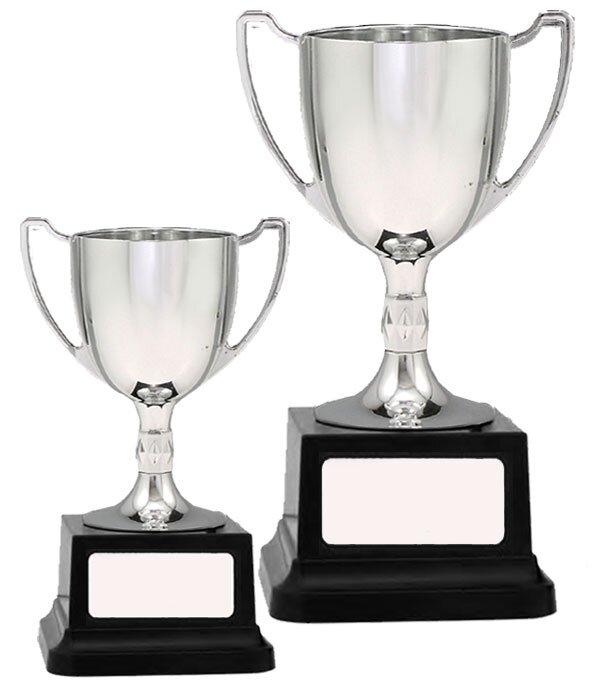 Silver Metal Cups