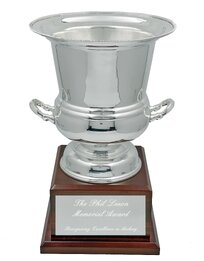 Silver Wine Cooler