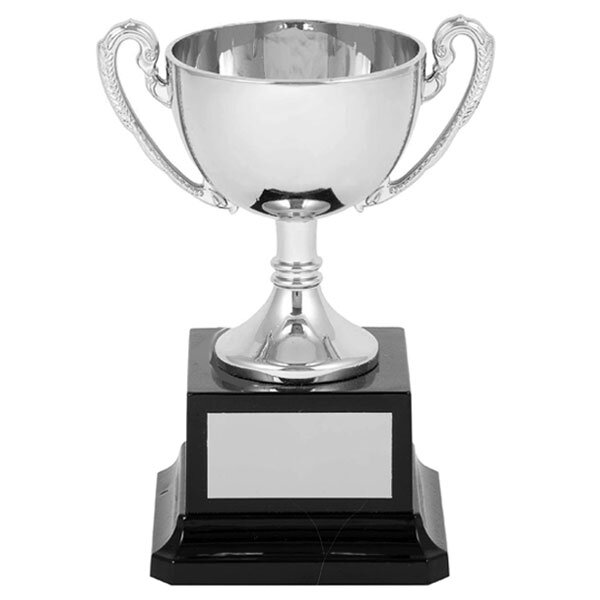 Silver Plastic Cup