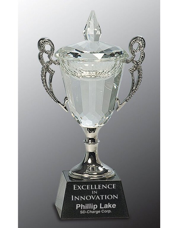 Crystal Cup Award