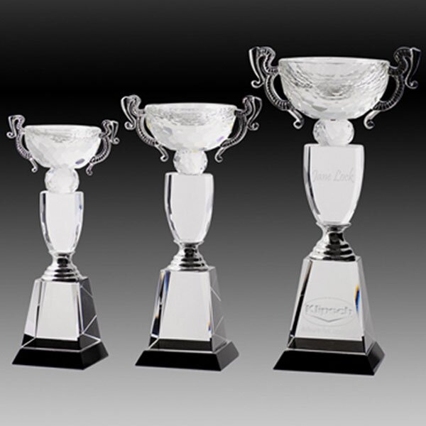 Crystal Cup Award