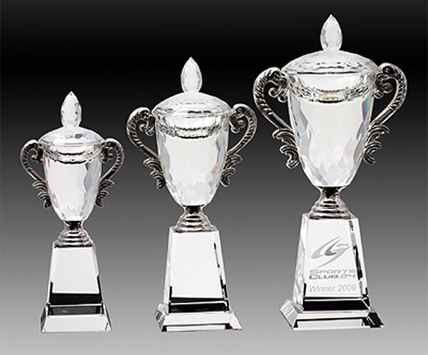 Crystal Cup & Lid Award